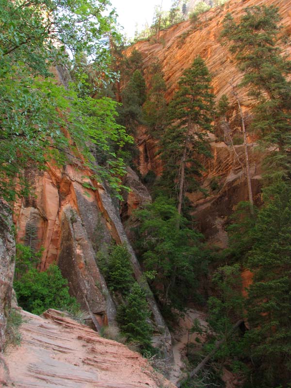Zion - Hidden Canyon Trail
